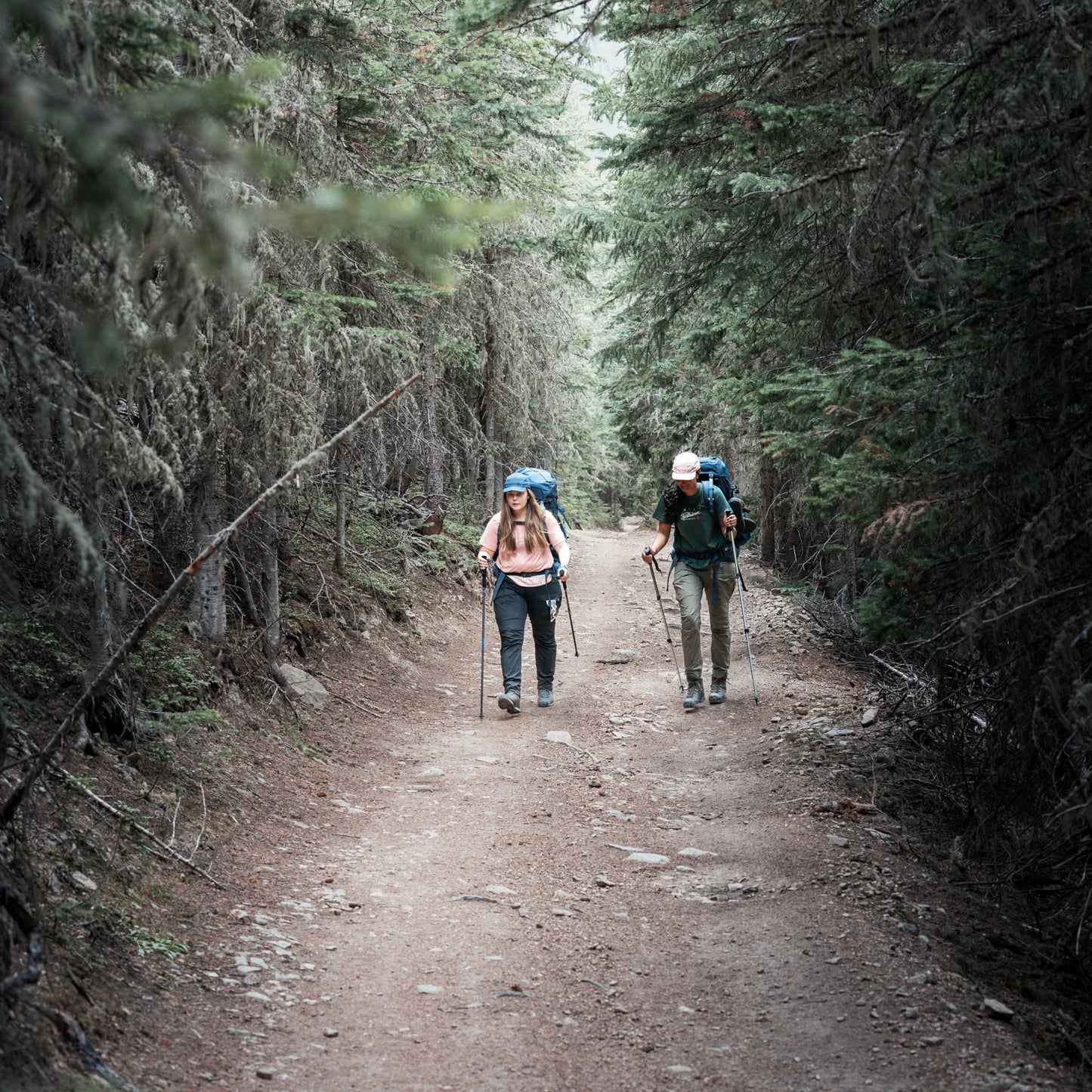 ABISKO HYBRID TRAIL TRS W - US 9749